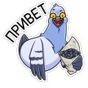 Набор стикеров «Голубь Михаил»