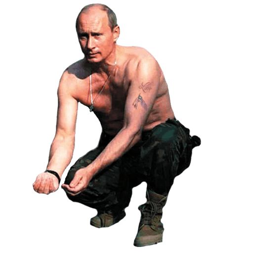 Стикер «Путин-11»