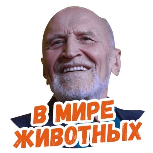 Стикер «Николай Дроздов-2»