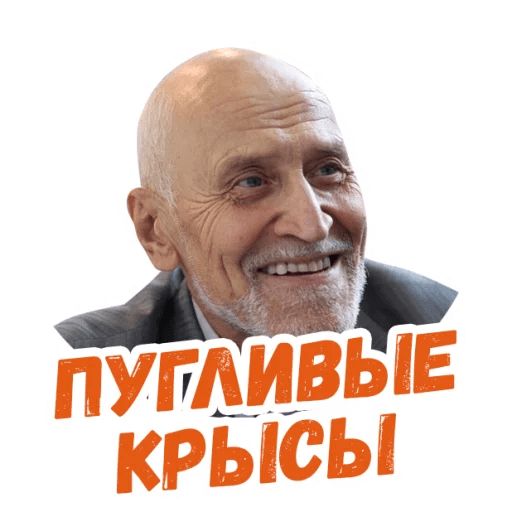 Стикер «Николай Дроздов-6»