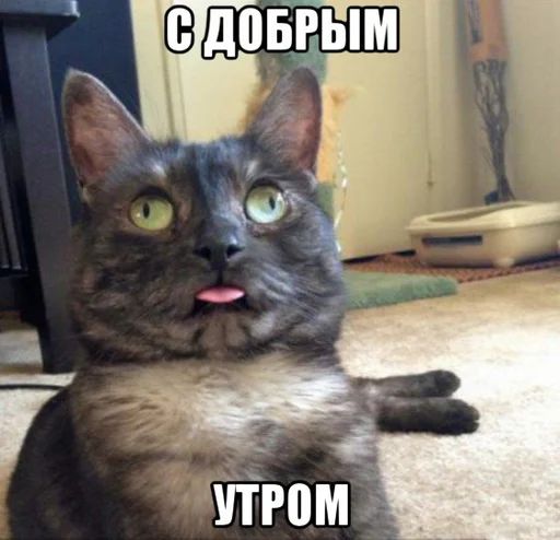 Стикер «Доброе утро-4»