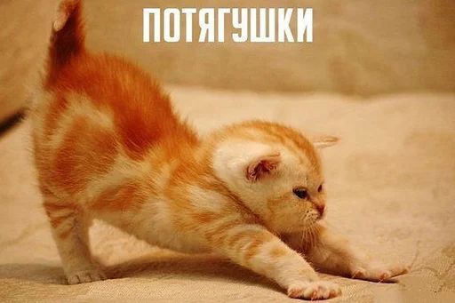 Стикер «Доброе утро-6»