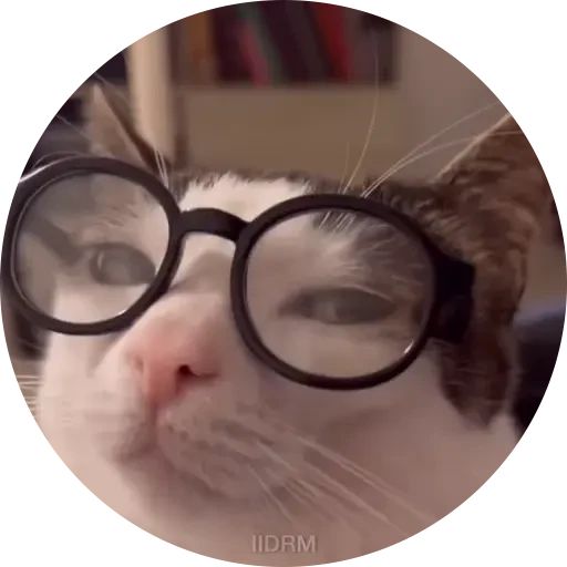 Стикер «Котики в кружочках-12»