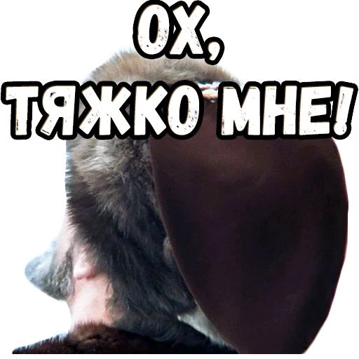 Стикер «Иван Васильевич (2)-12»