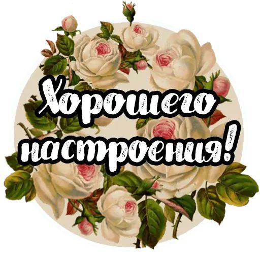 Стикер «Розы-10»