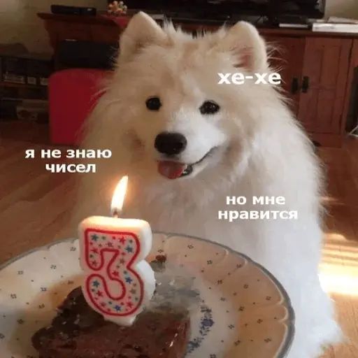 Стикер «Собака - друг человека-12»