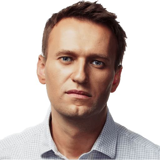 Стикер «Навальный Президент!-4»