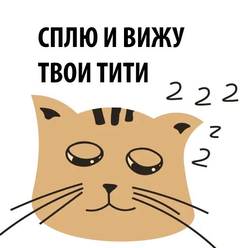 Стикер «Кошка со смыслом-5»