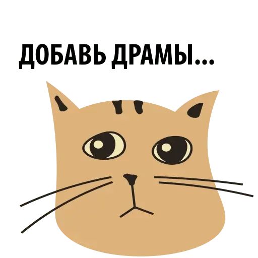 Стикер «Кошка со смыслом-8»