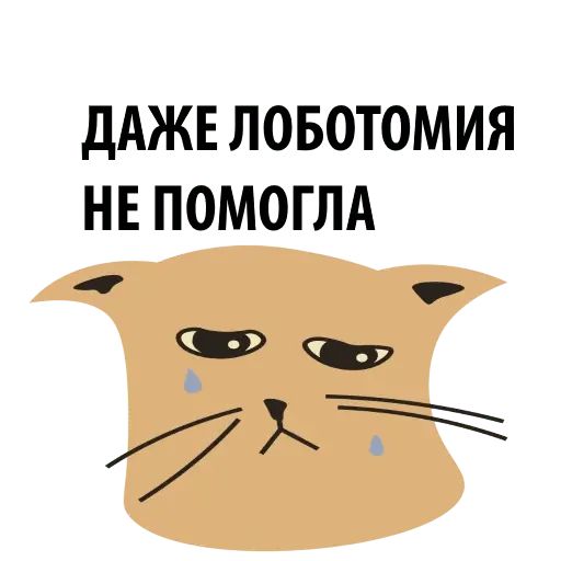 Стикер «Кошка со смыслом-9»