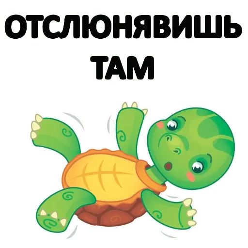 Стикер «Черепашка Ниндзя-5»