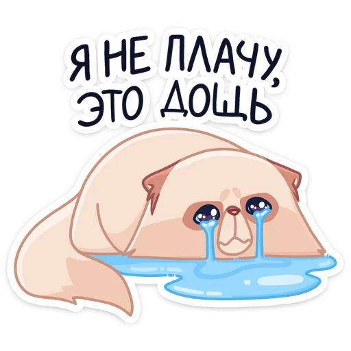 Стикер «Пушух-5»