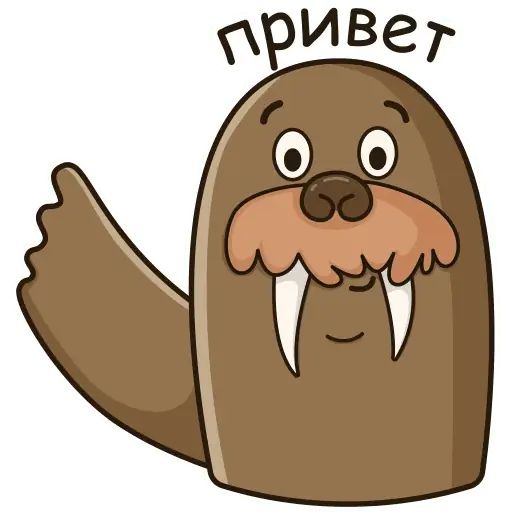 Стикер «Морж Иннокентий-9»