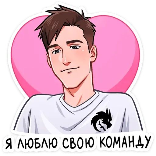 Стикер «Team Spirit-12»