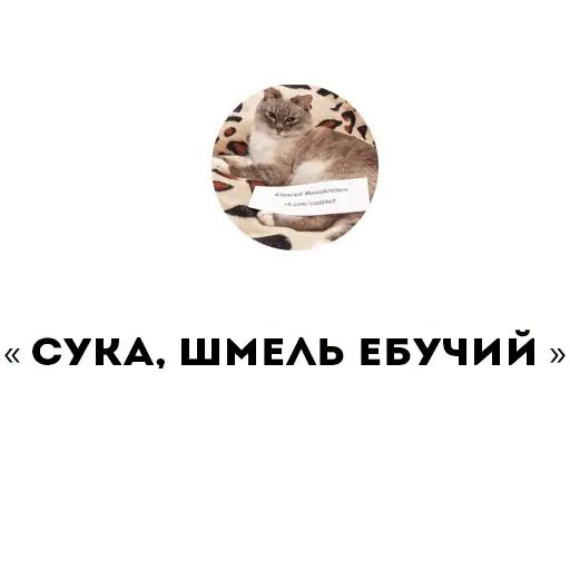 Стикер «RuMine-8»
