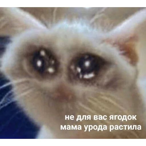 Стикер «Кривые животные-7»