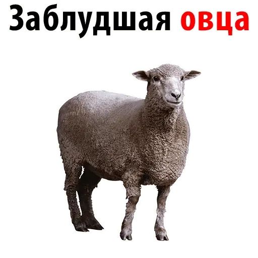 Стикер «Аминь-7»
