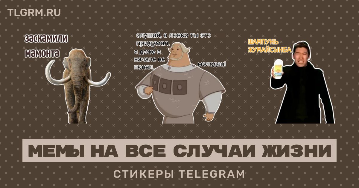 Картинки на все случаи жизни мемы