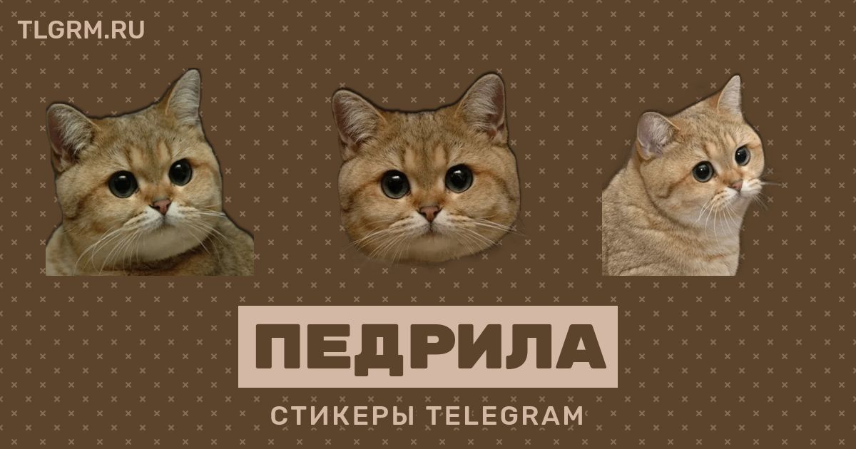 Набор стикеров для Telegram «Педрила»