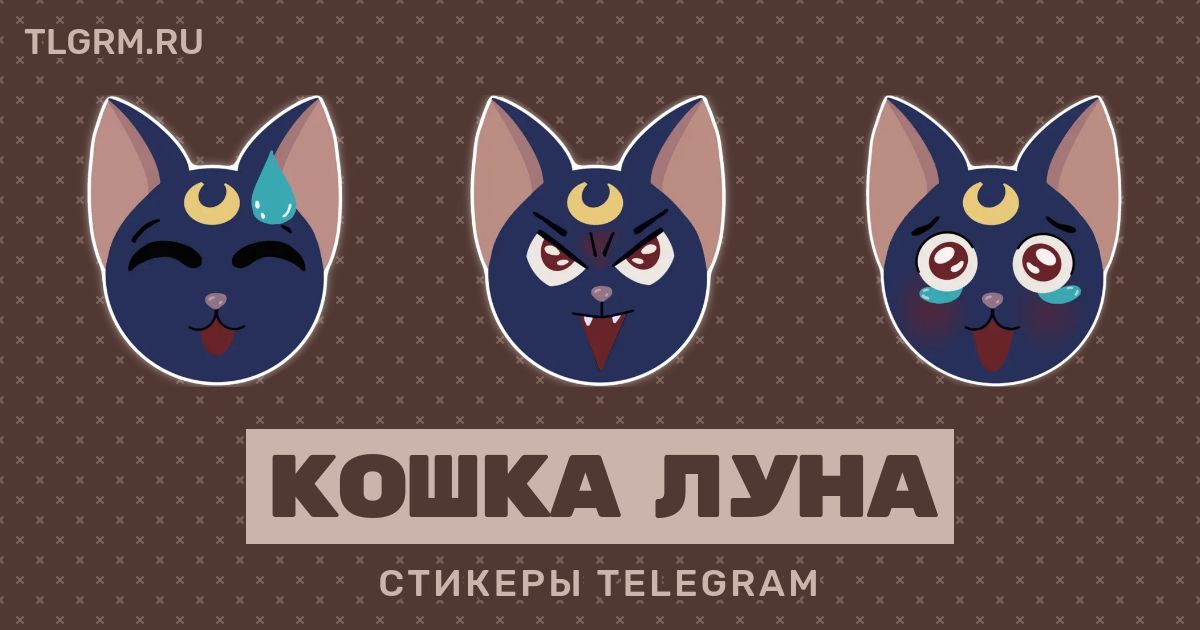 Cats телеграмм