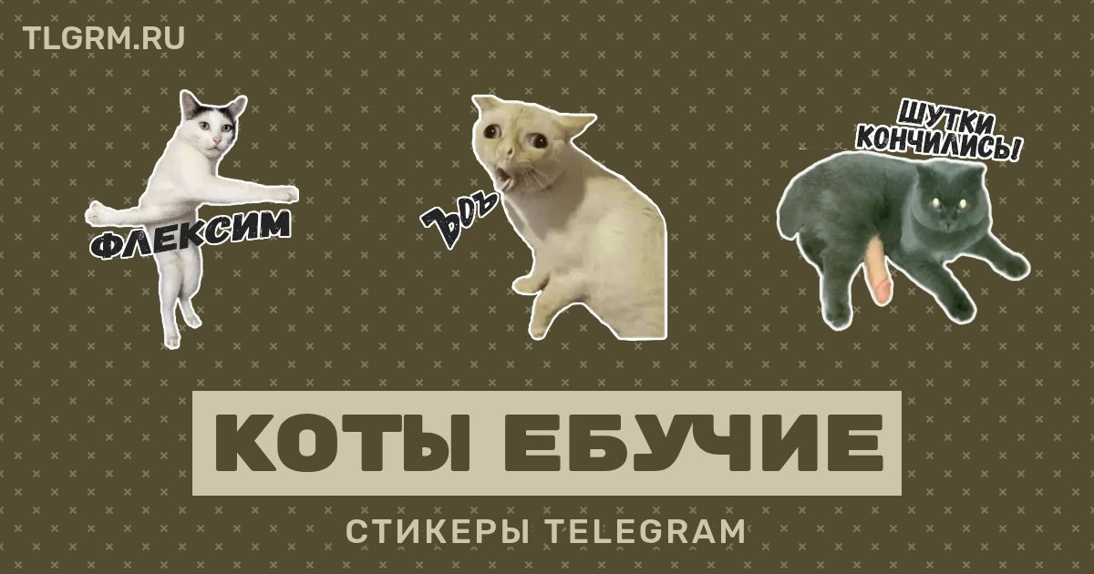 Телеграм кот костян