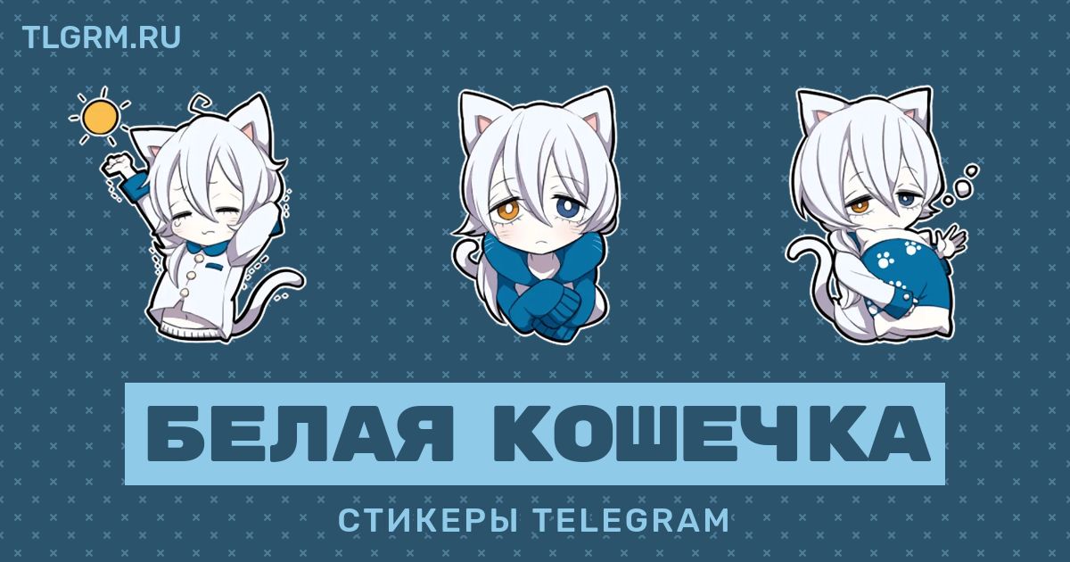 Стикеры белый кот