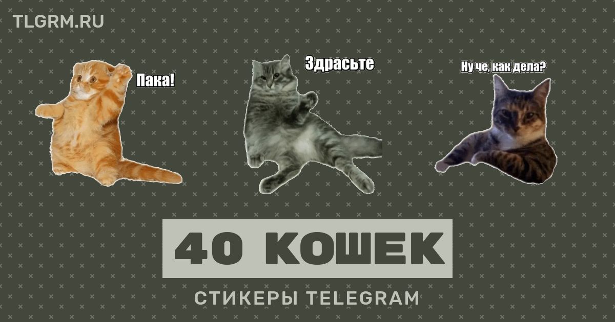 Кошки телеграм каналы