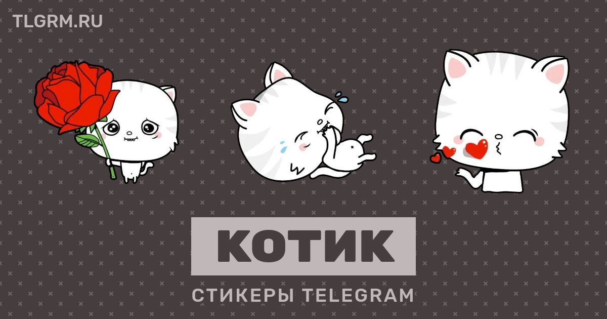 Телеграм коты