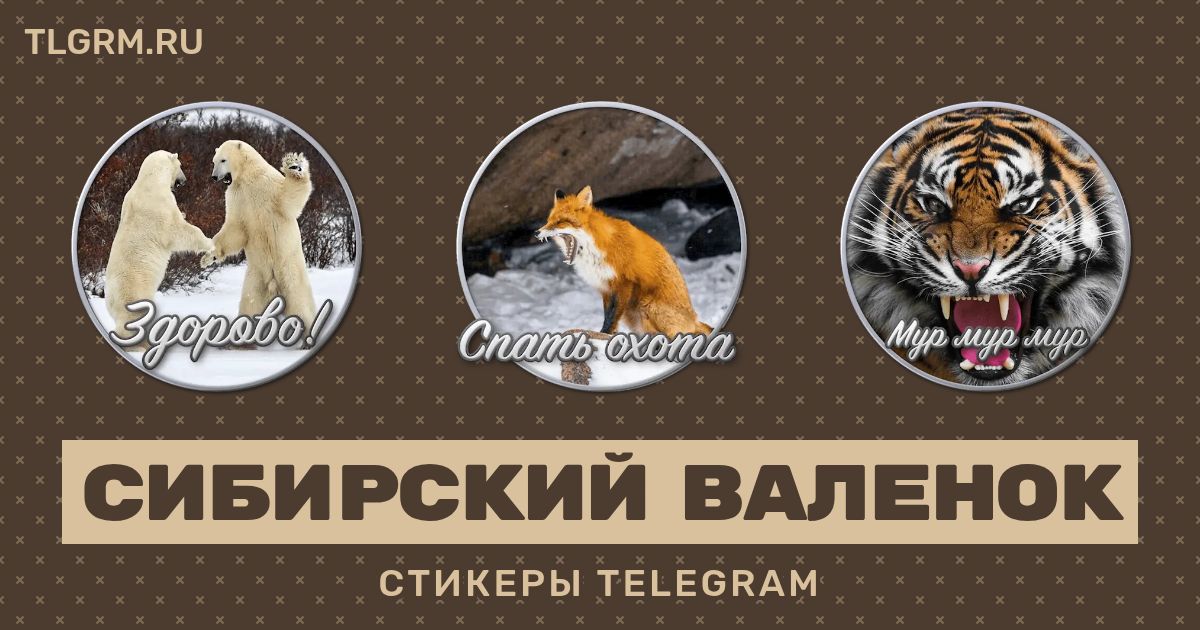 Набор стикеров для Telegram «Сибирский Валенок»