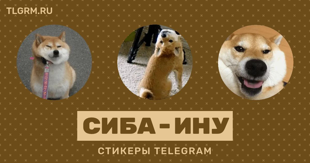 Набор стикеров для Telegram «Сиба-ину»